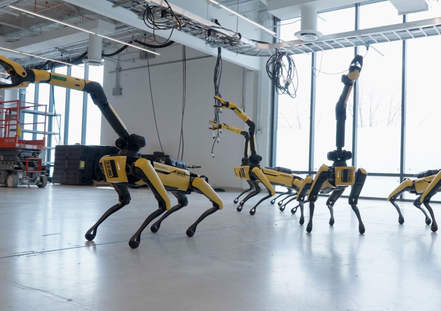 Four Spot robots performing a dance routine