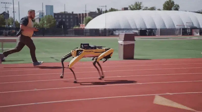 Spot and an operator mid-run